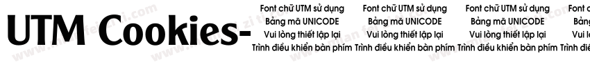 UTM Cookies字体转换